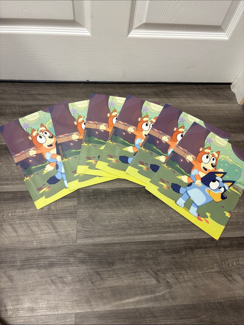Bluey Character School Folders - Set of 6